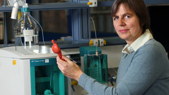 Die Kaiserslauterer Professorin Heidrun Steinmetz koordiniert das Projekt Die Kaiserslauterer Professorin Heidrun Steinmetz koordiniert das Projekt / Foto: Koziel/TUK CopyrightTU Technische Universität Kaiserslautern