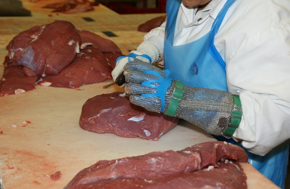 In den vergangenen Wochen gab es mehrere Vorfälle mit tierschutzrechtlichen Verstößen in Schlachtbetrieben in Niedersachsen. Landwirtschaftsministerin Barbara Otte-Kinast kündigte daraufhin im Landtag an, dass sie eine Bundesratsinitiative für die Kameraüberwachung in Schlachtbetrieben anstoßen wird.
