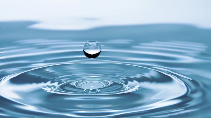 Lies: Wasser ist wichtigstes Gut - „Brauchen dringend Wassermanagement" -