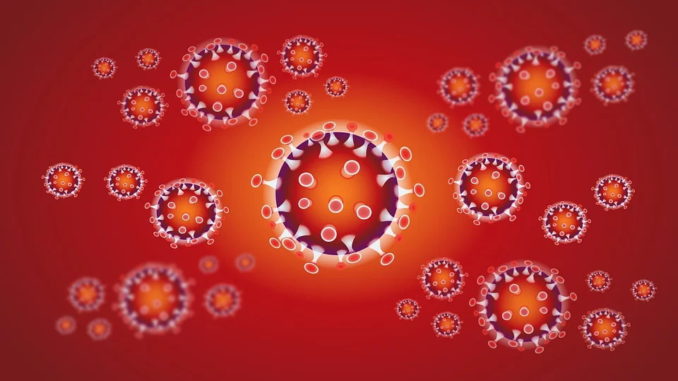 Coronavirus: Beratung und Hilfe für die Wirtschaft