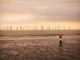 Küstenländer warnen: Geplante Gesetzesnovelle gefährdet Ausbau der Offshore-Windenergie