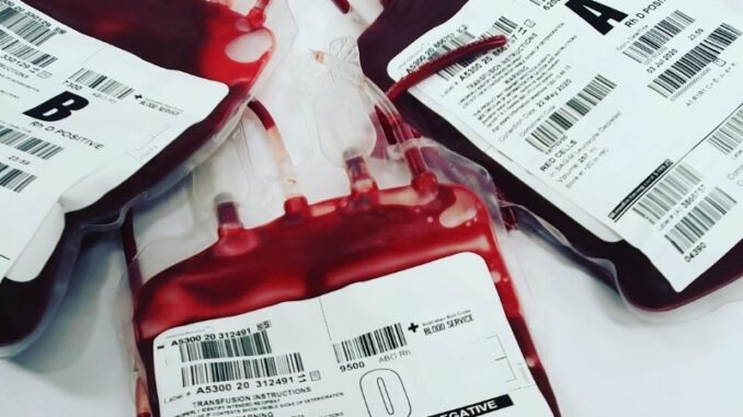 Handwerkskammer und DRK-Blutspendedienst laden am 3. August zur zweiten gemeinsamen Blutspende ein.
