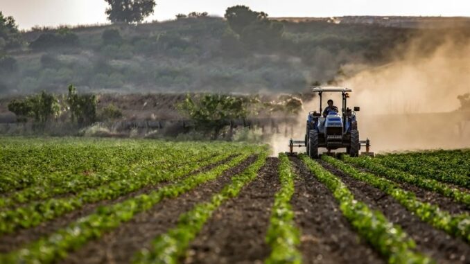 Endgültige Ergebnisse der Landwirtschaftszählung 2020: Mehr Bewässerung und mehr Zwischenfruchtanbau in Niedersachsen