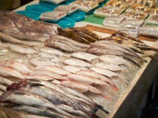 Risiken beim Lebensmittel Fisch vermeiden - Fortbildung für amtliche Lebensmittelkontrolle im Spezialbereich