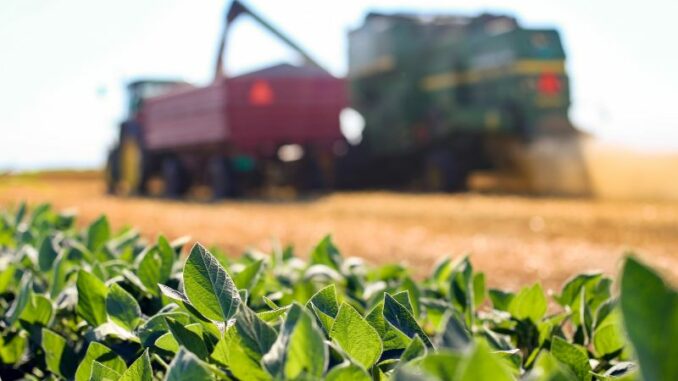 Pflanzenschutzmittel: Reduktion ist richtig, aber Lösungen mit Landwirtschaft und Umweltverbänden