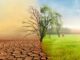 Klimaanpassung in der Landwirtschaft