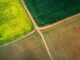 Glyphosat: Aurelia Stiftung und Deutsche Umwelthilfe kritisieren geplante Freigabe des Ackergifts durch Landwirtschaftsministerium